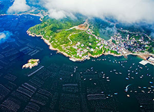 深挖海洋碳汇潜力